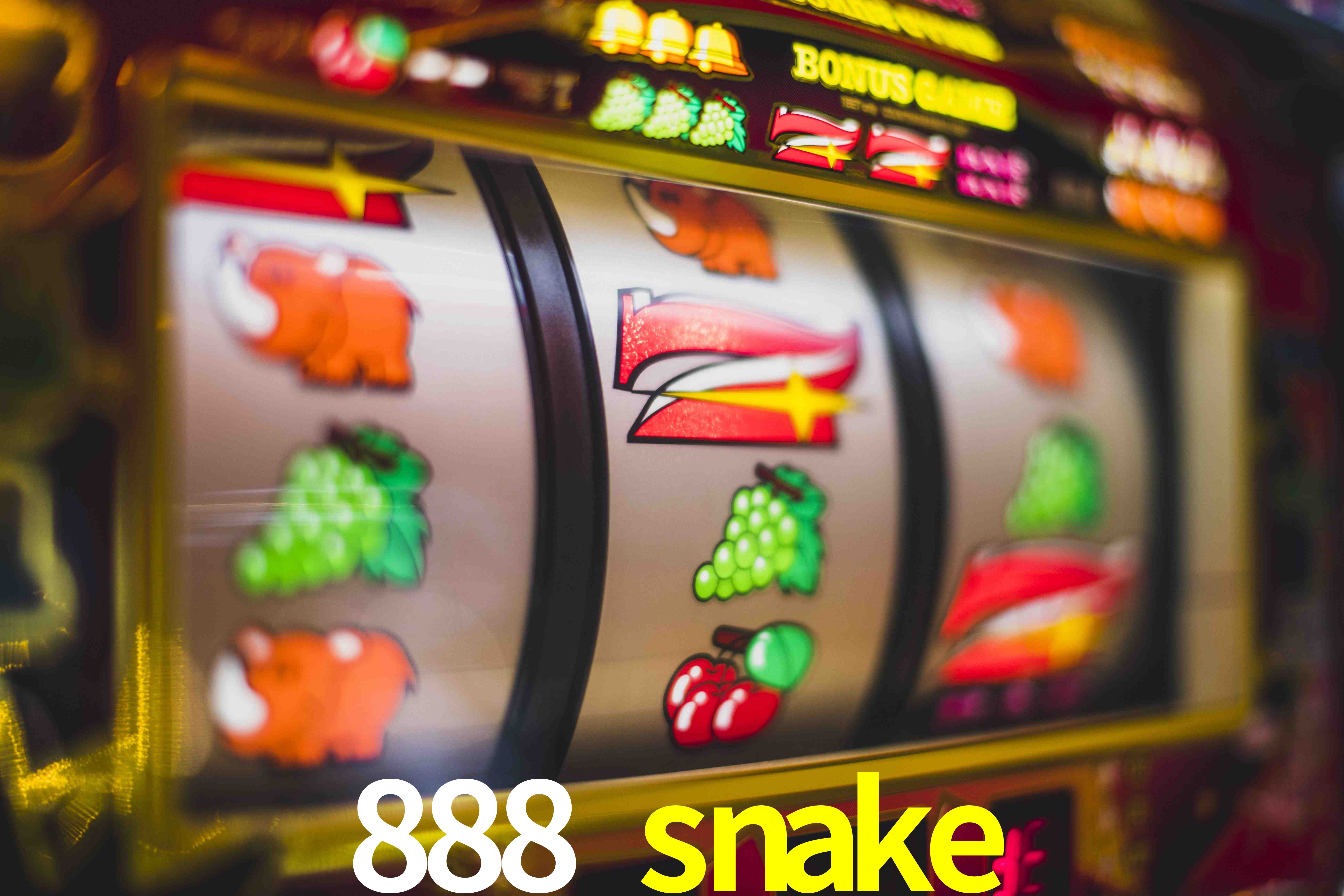 VIP Casino 888 snake